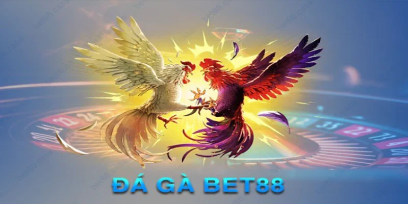 đá gà bet88